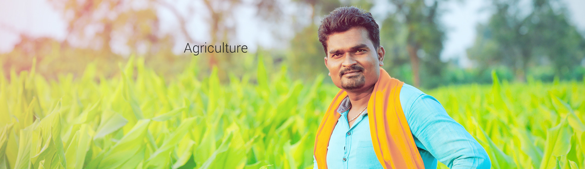 agriculture-banner-1